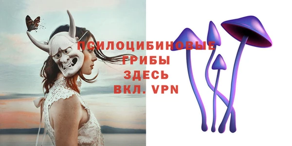 дмт Абаза