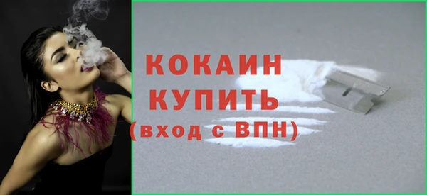 дмт Абаза