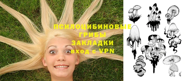 экстази Алексин