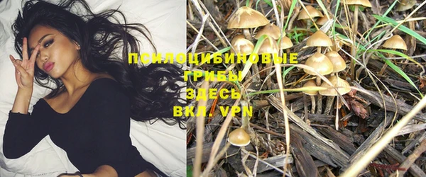 таблы Алексеевка