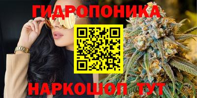 скорость Берёзовский