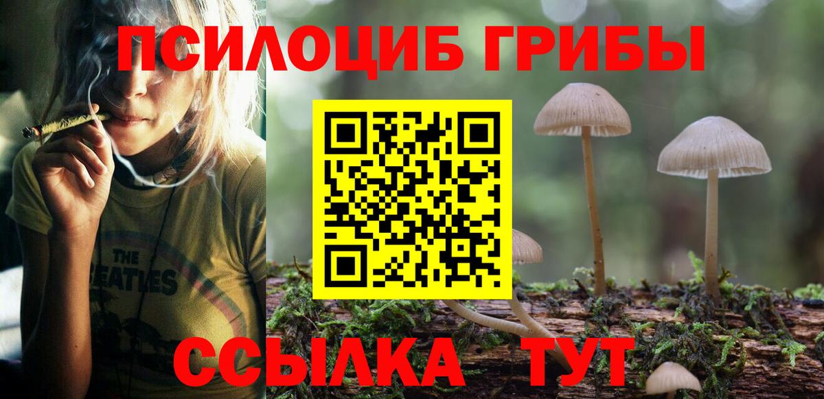 Галлюциногенные грибы прущие грибы  Вход с VPN  закладки  Галлюциногенные грибы MAGIC MUSHROOMS  Каменка 