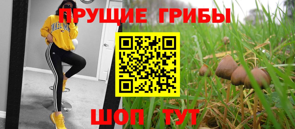 Галлюциногенные грибы Magic Shrooms Каменка